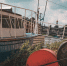 background - Вологда-поиск