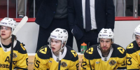 Фото: https://vk.com/hcseverstal - Вологда-поиск