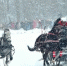 Вологодские тройки собрали большинство Кубков фестиваля «Тройка Фест» — в итоге вологодская команда стала абсолютным победителем соревнований - Газета Маяк