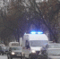 Фото: Вологда-поиск - Вологда-поиск