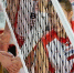 Фото: https://vk.com/chervolley - Вологда-поиск