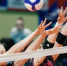 Фото: https://vk.com/chervolley - Вологда-поиск