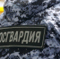В Соколе росгвардейцы задержали мужчину, подозреваемого в угоне мотоцикла - Росгвардия