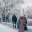 Фото Тимура Бойкова/Вологда-Поиск - Вологда-поиск