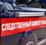 39-летнюю жительницу Вологды до смерти забили голыми руками - Wobla.Ru