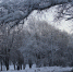 background - Вологда-поиск