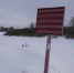 background - Вологда-поиск