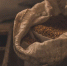 Центр гарантийного обеспечения МСП поддержал поручительством  вологодского экспортера кормов - Минэкономразвития Вологодской области