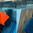 АСС Вологодской области - Вологда-поиск