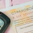 Вологда-поиск - Вологда-поиск