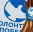 Логотип "Волонтеров Победы": белый голубь – символ мира, голубой фон – чистое небо и светлое будущее, георгиевская ленточка – символ мужества и подвига наших прадедов, защищавших Отечество.. - Администрация г. Вологда