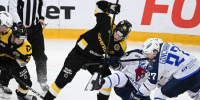 Фото: https://vk.com/hcseverstal - Вологда-поиск