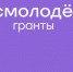 Экспертный совет «Росмолодёжь.Гранты» пополнили представители Вологодской области - Министерство молодежной политики