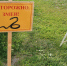 background - Вологда-поиск