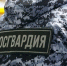 16 правонарушителей на территории Вологодской области задержали сотрудники вневедомственной охраны Росгвардии за минувшую неделю - Росгвардия