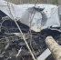 ДТП на 27 километре трассы Сокол — Вожега в Вологодской области: двое пострадавших госпитализированы после вылета "Митсубиси АСХ" в кювет - ProGorod35.Ru