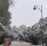 фото: Вологда-поиск - Вологда-поиск