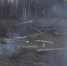 Анна Язинская, Vologda-poisk.ru - Вологда-поиск