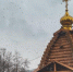 Тимур Бойков, Vologda-poisk.ru - Вологда-поиск