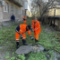 Вологодские специалисты приступили к работе в Алчевске - Министерство энергетики, коммунальной инфраструктуры и тарифного регулирования