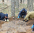 Более 130 вологжан готовятся к трехнедельной поисковой экспедиции «Вороново» - Вологда.РФ