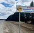Вологодским водителям напомнили, как вести себя при встрече с лосем на дороге - OnlineVologda.Ru