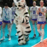 Фото: https://vk.com/chervolley - Вологда-поиск