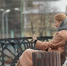 Вологда-поиск - Вологда-поиск