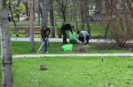 Тысячи деревьев и кустарников украсили город благодаря субботнику в Волгограде