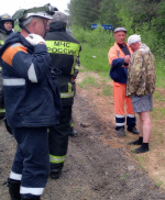 В Кичменгско-Городецком округе пьяный водитель убежал в лес после аварии