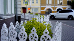 Спирея японская украсила территорию перед Администрацией города Вологды