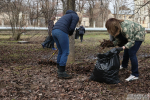Более 31 тысячи вологжан приняли участие в весенних субботниках