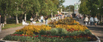 Тимур Бойков, Vologda-poisk.ru