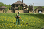 Новые штрафы и ограничения на продажу загородных участков. Как изменится жизнь дачников с 1 июля 2026 года