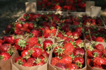 Вологодская кухня — это не только знаменитое масло, но и множество других самобытных вкусов.