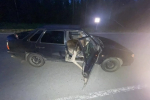 18-летняя девушка получила травмы в ДТП с лосем