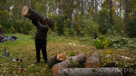 Более 700 человек приняли участие в общегородском субботнике в Вологде