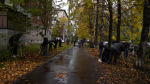 Более 700 человек приняли участие в общегородском субботнике в Вологде